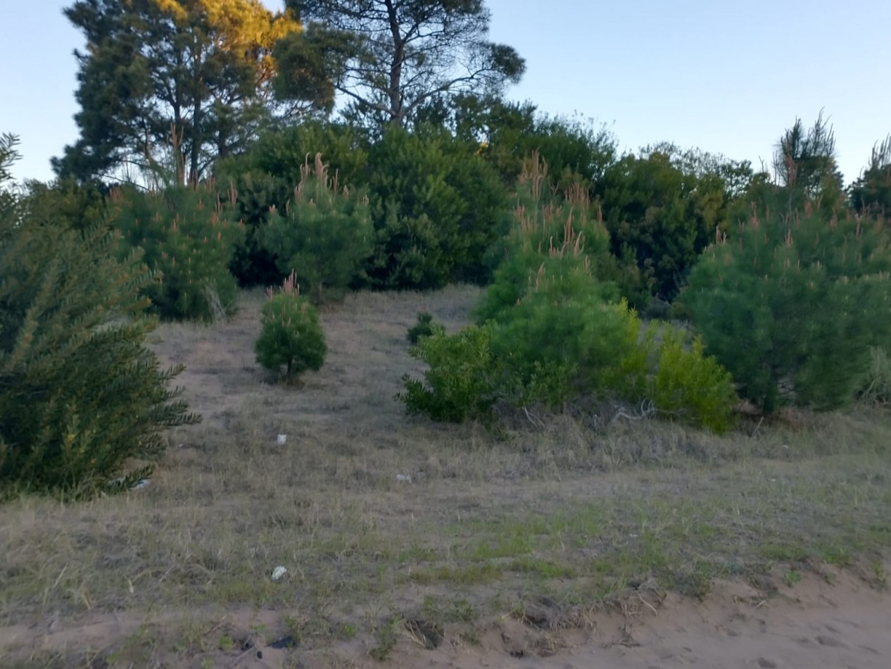 Lotes a la venta Barrio Nayades Pinamar.