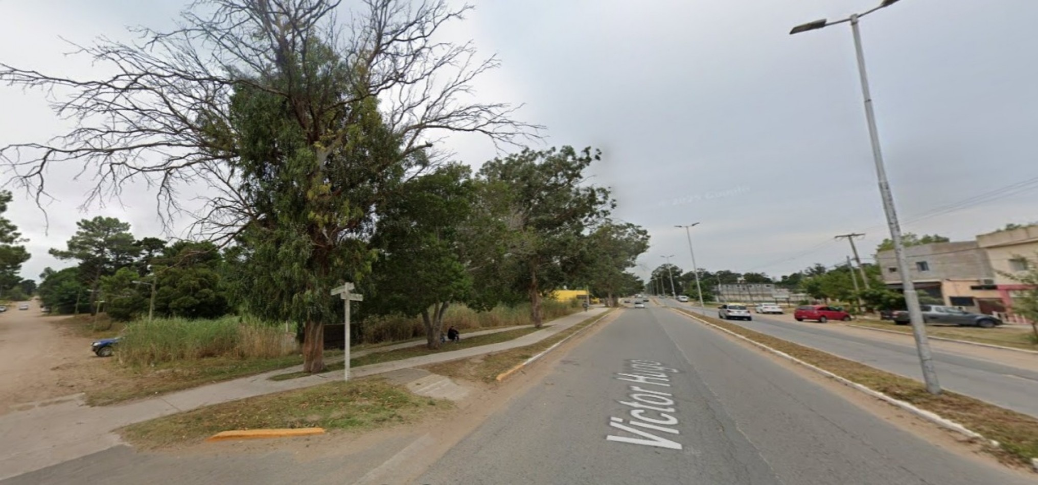 Lotes comerciales a la venta 