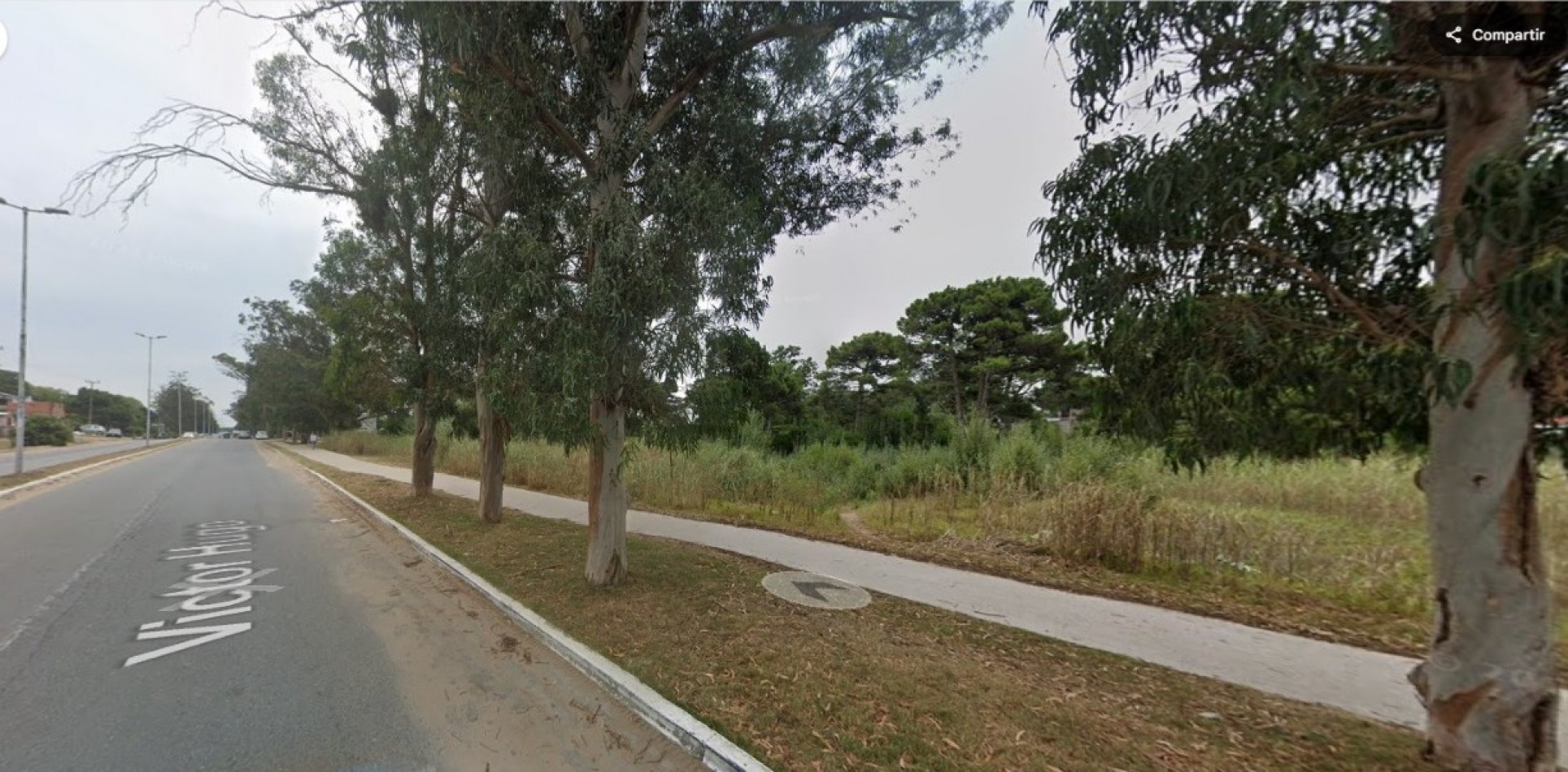 Lotes comerciales a la venta 