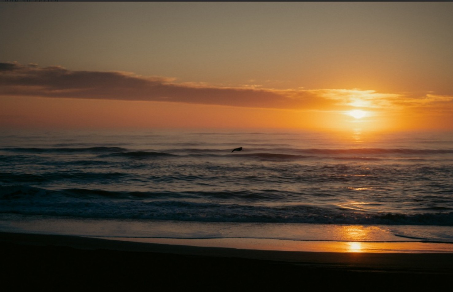  Casa en alquiler de temporada  Costa Esmeralda