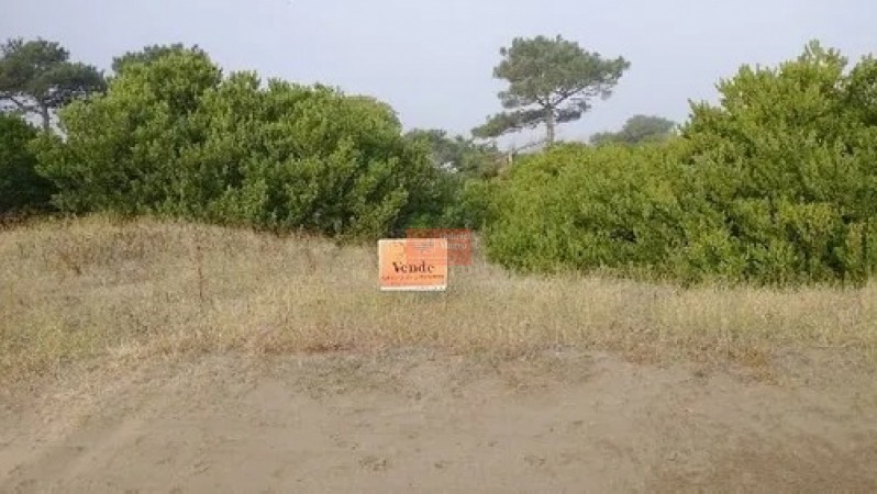 Lote Terreno en Venta Villa Gesell