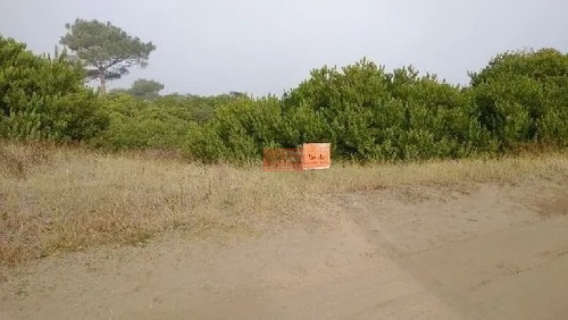 Lote Terreno en Venta Villa Gesell