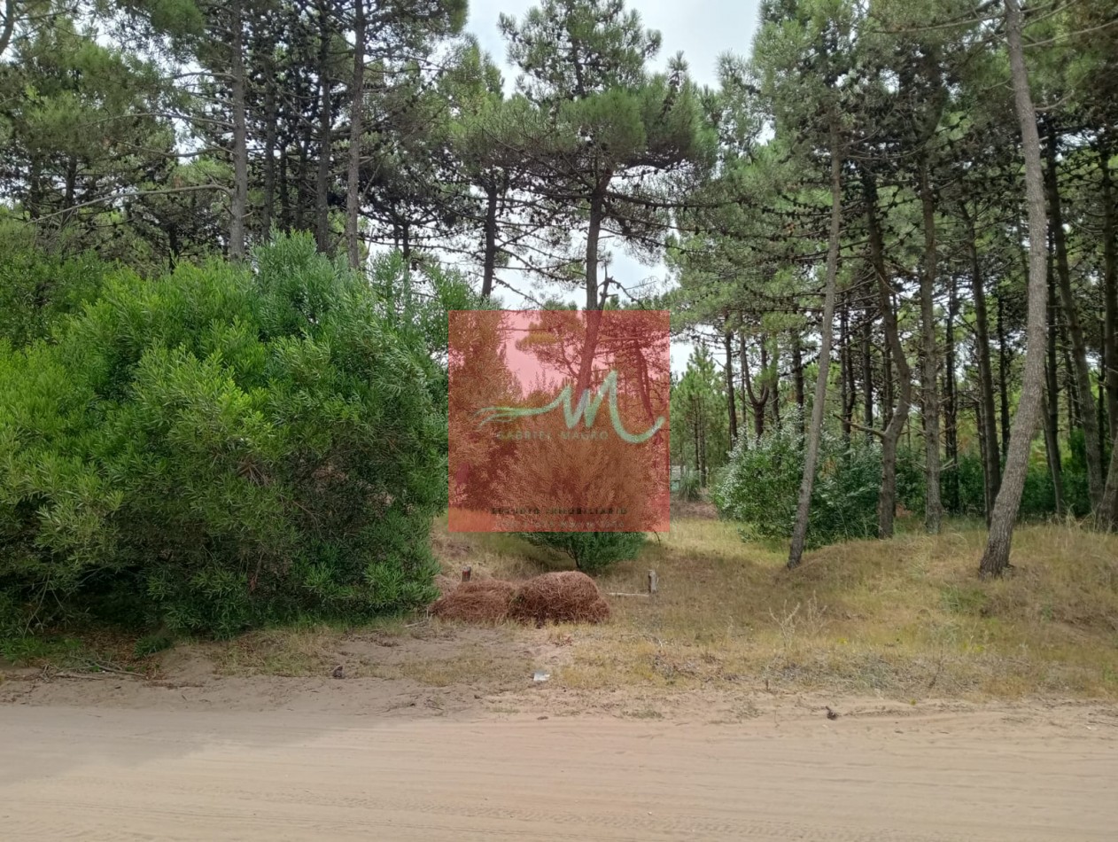VENTA DE LOTE 